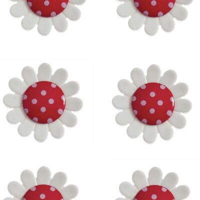 daisy-button-flower-red-colour