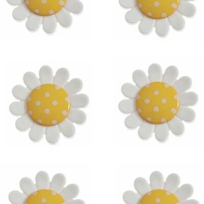 daisy-button-flower-yellow-colour