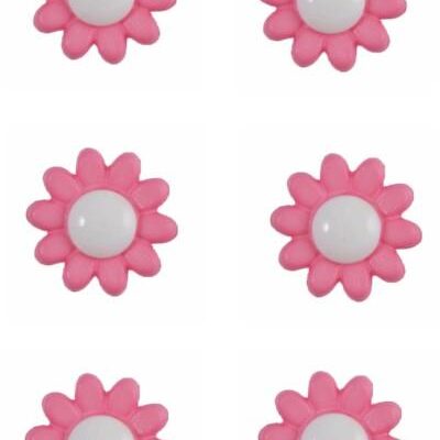 daisy-button-flower-white-pink-colour