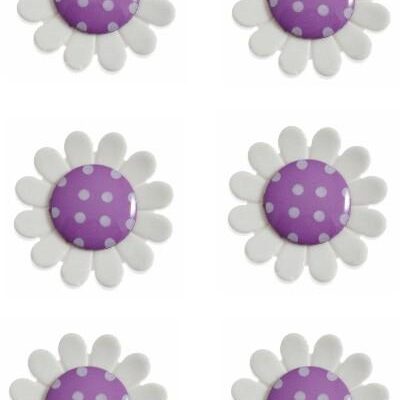 daisy-button-flower-purple-colour