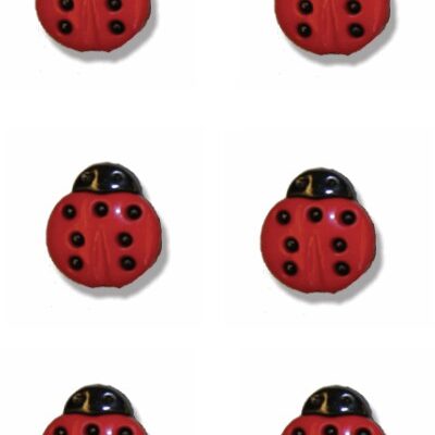 ladybird-button-fruit-red-black-colour