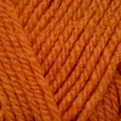 Pumpkin Robin DK Wool image