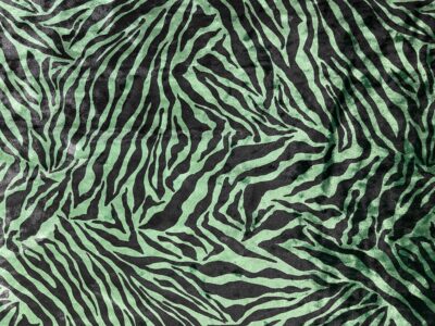 Green Abstract Animal Print Zebra Ice Crushed Velvet