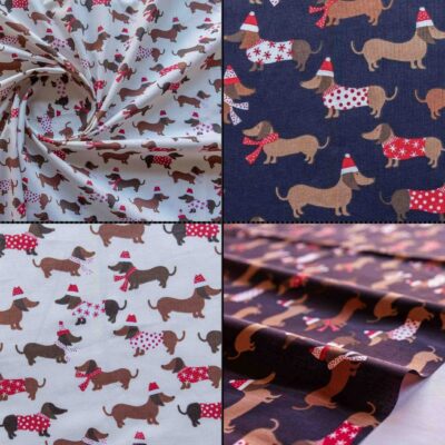 Dressed Dogs Dachshund Puppies