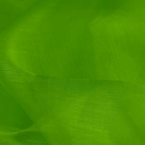 Flo Lime Green Plain Organza Fabric