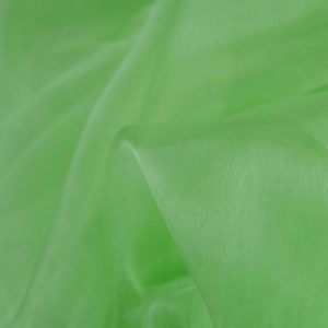 Mint Plain Organza Fabric